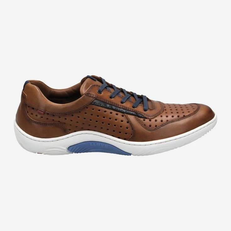 Lloyd Art. 13-043-03* ABOTT Braun 5 Lloyd Art. 13-043-03* ABOTT Braun – Bild 3