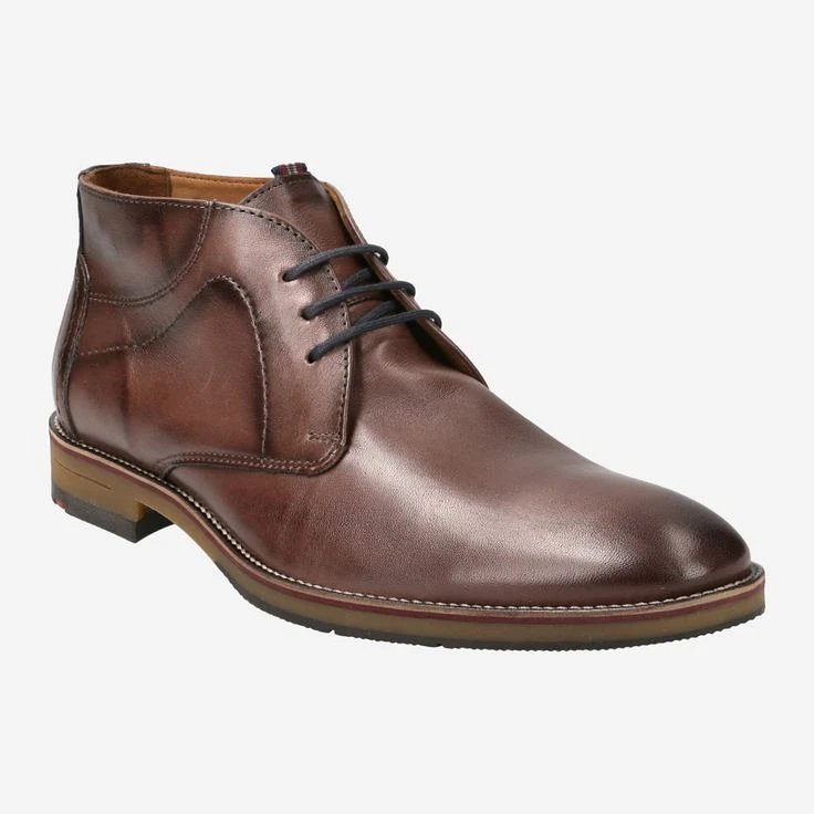 Lloyd Art. 22-600-12* HASTINGS Braun 3 Lloyd Art. 22-600-12* HASTINGS Braun