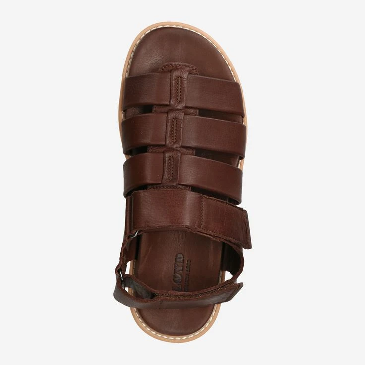 Lloyd Art. 13-404-03* ELIMAR Braun 7 Lloyd Art. 13-404-03* ELIMAR Braun – Bild 5