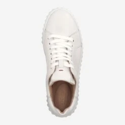 Lloyd Art.  23-226-01 KALI Weiß -Luke Schuhe top 2331010091